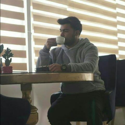 دانلود آهنگ امیر آراه عشق دیوونه